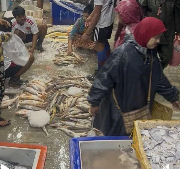 毛淡棉新建高级鱼市场开始营业